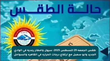 طقس الجمعة 29 أغسطس 2025: سيول وأمطار رعدية في الوادي الجديد وأبو سمبل مع ارتفاع درجات الحرارة في القاهرة والسواحل